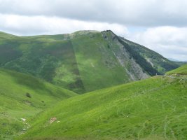 Goñiburutxikiako gandorra