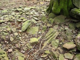 Urrixka 1 trikuharria