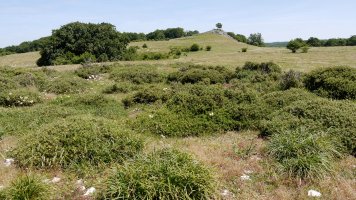 Sastraka hauen azpian dago tumulua. Atzeko tontorra Bardoitzarena da.