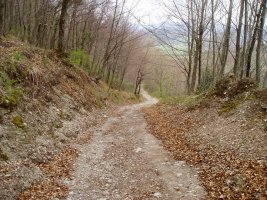 Goiko Landetatik Goldetxoko atakara igotzen den bidea