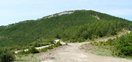 Zalakarte Elutsandiko lepotik