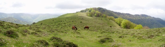 Ipar-ekialdetik ikusita