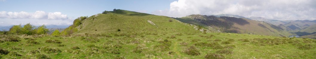 Ganalde lepotik ikusita