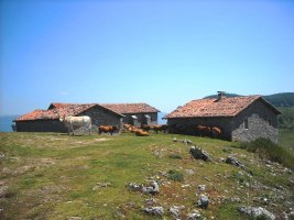 Behiak ermita inguruan