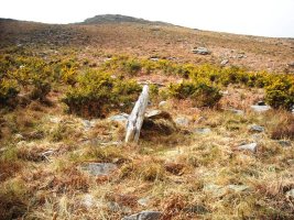 Gastenbakarreko Erreka 3