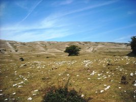 Usalderen tumulo de anillo