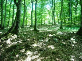 Puerto Viejo de Baquedano 2