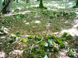 Puerto Viejo de Baquedano 2