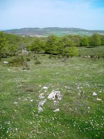 Santa Teodosia eremu tumularra