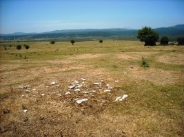 Pedro Txiki mendebalde
