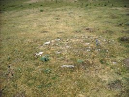 Camino de Arratondo hego