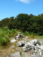 Pilotasoroko gailurra