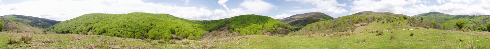 Arlobiko zubiaren gaineko muinotik 360ºtako ikuspegia