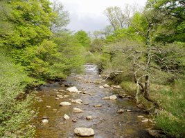 Baias erreka Arkarain