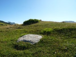 Trikuharria osatzen zuten harrietako bat