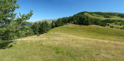 Adazidoia. Atzean, Larrondoa