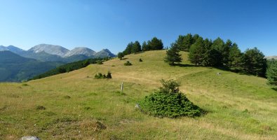 Bide zoragarria goiko larreetan