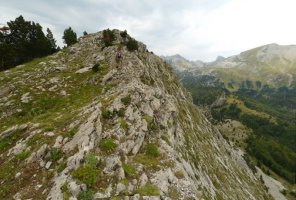 Lapazarrako azken gandorrak