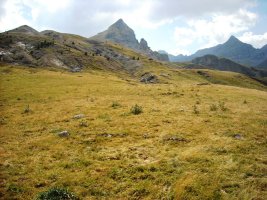 Pocetas de la Cambra