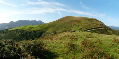 Gorospilgo zutarria eta Lizartzu