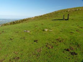 Buurdiko lepoa harrespila