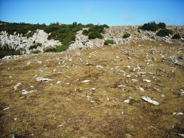 Irunsarioko Bidea ipar