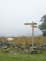 Erakusgarria Nekaitzeko lepoan