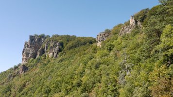 Ekialdetik ikusita, Cerradako bidetik