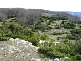 Erpin geodesikoaren inguruak