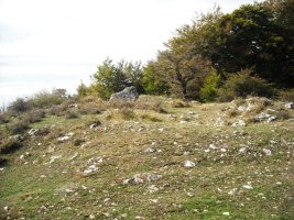 Gaztelamendi trikuharria