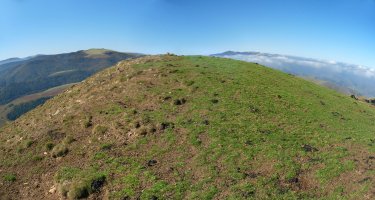 Mendibeleko gailurra