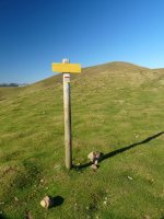 Adierazgarria Lepo Txipian