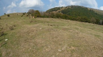 Mugarriko trikuharria, Astobia eta Bagoandieta artean