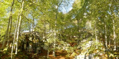 Harritxuriko basoa, kareharrizko labirintua