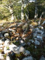 Arbaieta Mendebal (Arballeta 3)