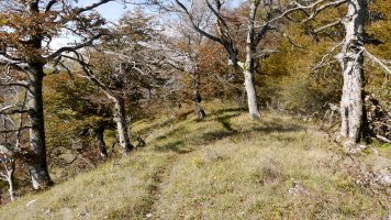 Tontorraren inguruak