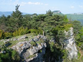 Mendebaldeko gandorra tontorretik