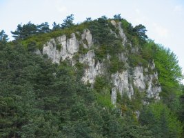 Tontorra ekialdeko gandorretik