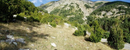 Trikuharria ezkerraldeko zuhaixken artean dago