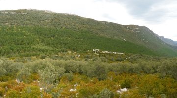 Leireko mendilerroa Ibarratik