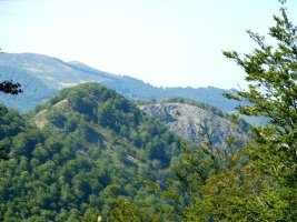 Uztartza eta Artzeleta 