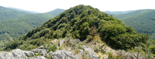 Uztartza Artzeletako gailur garbitik