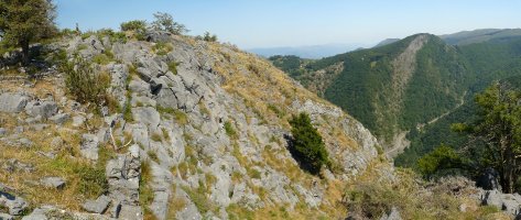 Artzeletako gailur harritsua