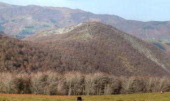 Intsusako Harmala hego-ekialdetik