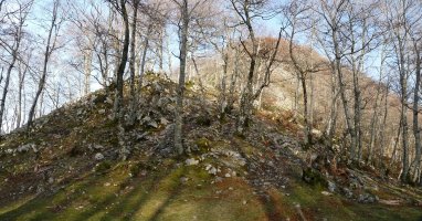 Harria basoari nagusitzen hasi