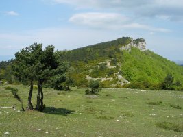 Ekialdeko isurialdea