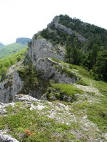 Mendebaldeko gandorretik