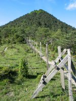 Iparraldeko gandorretik