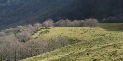 Adiko Soroko harrespilak goitik