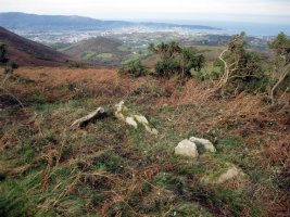 2009ko azaroaren 25ean ateratako argazkia